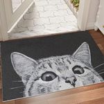 MR FANTASY Cat Door Mat Outdoor Ent