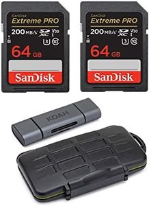 SanDisk 64