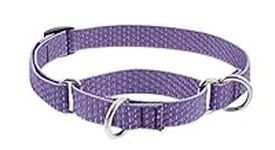 Martingale Dog Collar by Lupine ECO