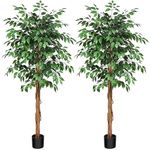 SOGUYI 6ft Ficus Artificial Trees with Realistic Leaves and Natural Trunk, Silk Fake Ficus Tree with Plastic Nursery Pot, Faux Ficus Tree for Office Home Farmhouse for Indoor Outdoor Decor(Set of 2)