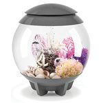 biOrb Halo 15 Acrylic 4-Gallon Aquarium with Multi-Color Remote-Controlled LED Lights Modern Compact Tank for Tabletop or Desktop Display, Gray