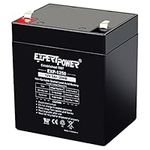 ExpertPower EXP1250 12V 5Ah Home Al