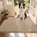 COSY HOMEER Nonslip Door Mats Indoor, 80 x 120cm Washable Dirt Trapper Welcome Front Doormat for Entryway Room Hallway, Absorbent Indoor Floor Mat for Muddy Shoes & Pets and Dogs, Beige