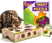 Cat Amazing Classic Cat Puzzle Feed