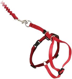 PetSafe Come With Me Kitty Harness and Bungee Leash, Harness for Cats, Large, Red/Cranberry