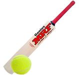 Cricket Bat For Kids Size 2