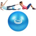 Tdas Polyvinyl Chloride (Pvc) Mini Gym Ball – 25 Cm Exercise Ball With Inflatable Straw Home Gym Swiss Yoga Fitness Physiotherapy Physio Massage Balls Birth Pregnancy Pilates (Blue, 25 Cm)