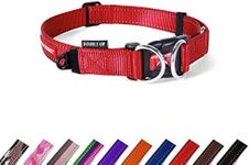 EzyDog Double Up Dog Collar - Premium Nylon Webbing Collars for Dogs - Reflective, Comfortable - Attach Leash to Both Stainless Steel D Rings for Extra Strength & Security (L, Red)