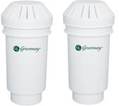 Vitapur Replacement Filter - 2 Pack