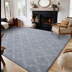 HOMORE Geometric Shag Rug for Bedroom, 5'x7' Rugs for Living Room, Soft Trellis Area Rug for Kids Nursery Dorm, Memory Foam Bedside Rug Indoor Floor Carpet, Light Gray/White