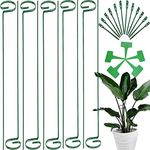 10 Pack Plant Stakes Support 10 Pla