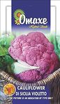 Omaxe Seeds Cauliflower Di Sicilia Violette (Purple) Exotic Seeds Kitchen Garden Packet