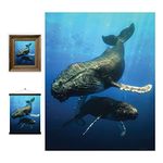 3D LiveLife Lenticular Wall Art Prints - Blue Whale from Deluxebase. Unframed 3D Ocean Poster. A perfect wall filler. Original artwork licensed from renowned artist, David Penfound