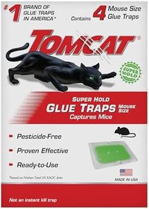 Tomcat Sup