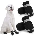 Dog Booties