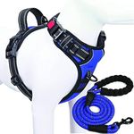 NEOMART No-Pull Dog Harness Dog Body Belt No-Choke Design, Better Control for Walking, Running, Hiking. Dog Harness with A Free Heavy Duty 5ft Dog Leash (Harness + Leash) (Medium, Blue)