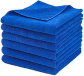 CARCAREZ Premium Microfiber Detaili