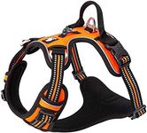 TRUE LOVE Dog Harness No Pull Nylon Reflective Pet Harness Adjustable Comfortable Control Step-in Brilliant Colors Truelove TLH56512 Medium Orange