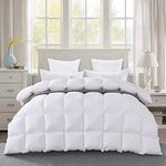 Filbert - Premium 300 GSM Comforter Super Soft Fluffy Comforter (92" x 106" Inches/233cm x 269cm) - King Size Comforter|White