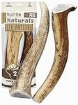 Mighty Paw Elk Antlers for Dogs - M