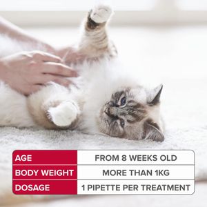 Beaphar FIPROtec Cat Flea & Tick Spot-On Treatment, 6 Pack