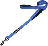 Maxpower Planet 6 Feet Dog Leash with Double Padded Handle, Heavy Duty, Reflective - Leashes for Medium and Large Dogs,Blue