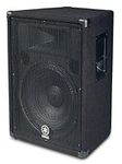 Yamaha BR15 15-inch 2-Way Loudspeak