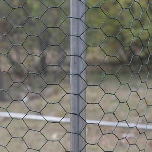 FoxHunter Outdoor Metal Chicken Run Cage – 3x8x2m Walk-In Poultry Enclosure