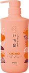 Ichikami Dense W Moisturizing Care Hair Shampoo Pump - 480ml