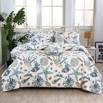 FADFAY Beach Comforter Set King 3Pcs Ocean Coastal Summer Quilt 100% Cotton Fabric with Soft Microfiber Inner Fill Bedding Lightweight Reversible All Season Down Alternative Duvet Insert 3Pcs, King