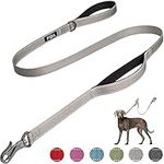 Fida 4 FT Heavy Duty Dog Leash with