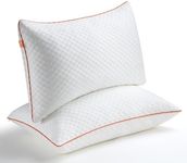 Maxzzz Pillows 2 Pack, Soft Hypoallergenic Anti-Dust Pillows, Down Alternative Pillows, Bed Pillows for Neck & Side Sleeper, Standard Size Pillows with Removable Bamboo Fiber Cover (42 * 70CM)