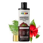 Organix Mantra Hibiscus & Curry Leaves Hair Oil | Advanced Follicle Activation | Infused with Bhringraj, Amla, Rosemary, Peppermint & Lavender Oils | Promotes Thicker, Stronger Hair 120ML