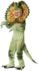 Fun Costum