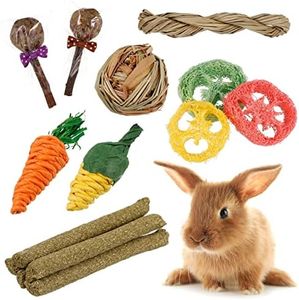 Xinzistar 17 Pcs Jouet pour Lapin, Accessoire Lapin, pour Jouets à Mâcher de Cochon d'Inde Hamster Chinchilla Gerbille