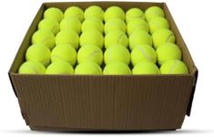 Swingers Tennis Balls,80 Pack High 