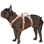 Huntboo Escape Proof Dog Harness, N