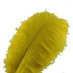 Sowder 10pcs Ostrich Feathers 12-14inch(30-35cm) for Home Wedding Decoration(Yellow)