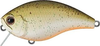 Evergreen CH CRANKBAIT 1 FEET Root Beer