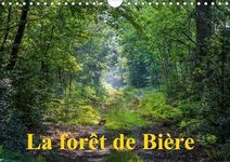 La forêt de Bière 2016: Paysages de la forêt de Fontainebleau (Calvendo Nature)