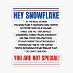 (Pack of 2) Hey Snowflake You are Funny Sticker -Bumper Sticker - Water Bottle , Laptop Decal - Water Proof 5 inches