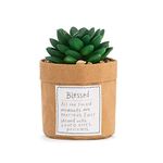 Demdaco Plant Kindness - Blessed
