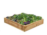 Quickcrop Wooden Starter Raised Bed Kits 4ft x 4ft