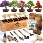 Avergo Bonsai Tree Kit – 5X Unique 