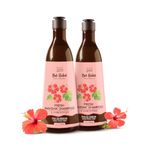 Nat Habit Sulfate-Free Natural Five Oils Hibiscus Hair Growth Shampoo, Navdha Shampoo for Women and Men (Pack of 2 X 250ml)