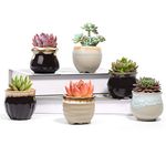 T4U Small Ceramic Succulent Pots with Drainage Set of 6, Mini Pots for Plants, Tiny Porcelain Planter, Air Plant Flower Pots Cactus Faux Plants Containers, Home and Office Decor…