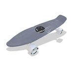 Jaspo Mini Cruiser Skateboard (22.5x5.5 Inch) (Grey)