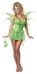 California Costumes 1220 Tinkerbell Adult-Sized Costume, Solid, Green, Medium