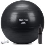 Everlast Anti-Burst Weighted Stability Ball 75CM