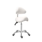 Antlu Saddle Stool Chair with Back Support - Ergonomic Esthetician Seat Saddle Stool for Salon Tattoo Spa Medical Dentist Clinic (with Adjustable Backrest, White)